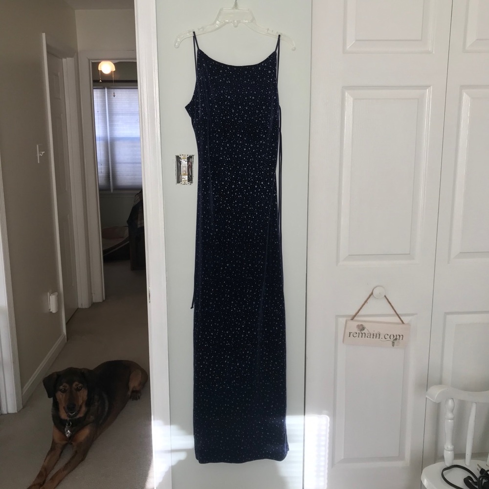 Blondie Nights Sparkly Long Dress